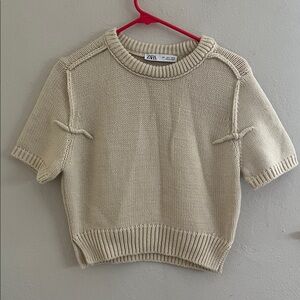 Zara Cropped Chunky Short Sleeve Sweater size L